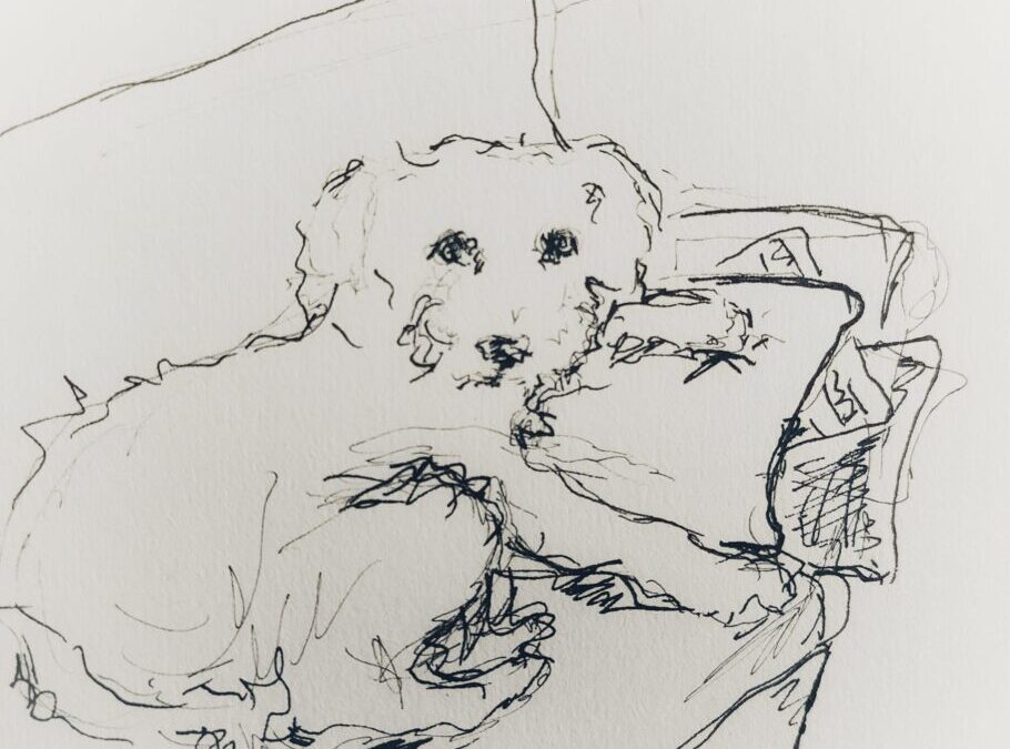 How my daily doodles and  The Camino Way