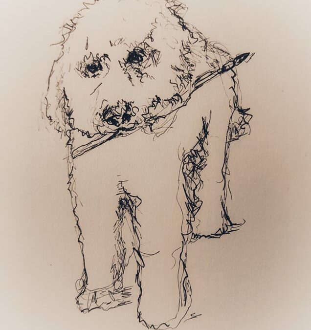 Labradoodle Doodles and My Mental Health
